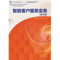 智能客户服务实务
