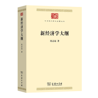 新经济学大纲
