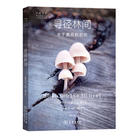 寻径林间