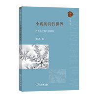 小说的诗性世界：跨文化中俄小说研究