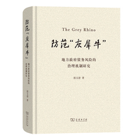 防范“灰犀牛”：地方政府债务风险的治理机制研究