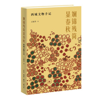 斓锦残简显春秋——西域文物手记