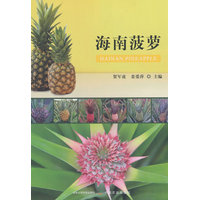 海南菠萝