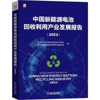 中国新能源电池回收利用产业发展报告(2022)(2022)