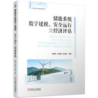 储能系统数字建模、安全运行及经济评估