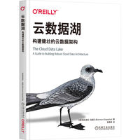 云数据湖：构建健壮的云数据架构
