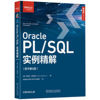 Oracle PL/SQL实例精解