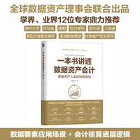一本书讲透数据资产会计：数据资产入表的财务路径