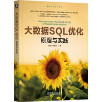 大数据SQL优化：原理与实践
