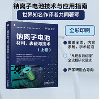 钠离子电池——材料、表征与技术(上卷)