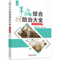 羊病综合防治大全：全彩视频版