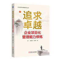 追求卓越：企业项目化管理能力修炼