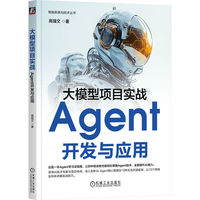 大模型项目实战：Agent开发与应用
