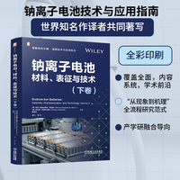 钠离子电池——材料、表征与技术(下卷)