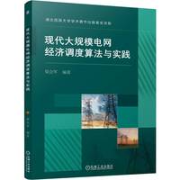 现代大规模电网经济调度算法与实践