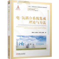 电氢耦合系统集成理论与方法