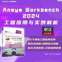 ANSYS Workbench 2024工程应用与实例解析