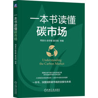 一本书读懂碳市场