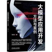 大模型应用开发：方法与案例