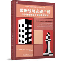 数据战略实践手册：十步落地敏捷务实的数据管理：creating a pragmatic, agile, and communicable foundation for your data management practice