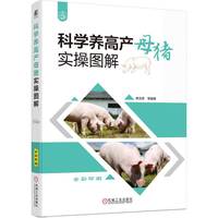 科学养高产母猪实操图解