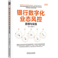 银行数字化业态风控：原理与实践