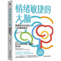 情绪敏捷的大脑：掌握驱动自我的12种情绪需求：mastering the 12 emotional needs that drive us