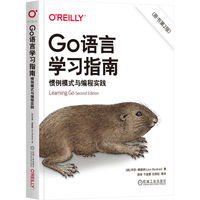 Go语言学习指南：惯例模式与编程实践