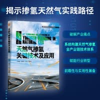 天然气掺氢关键技术及应用