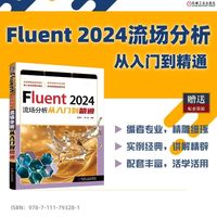 Fluent 2024流场分析从入门到精通
