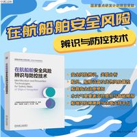 在航船舶安全风险辨识与防控技术