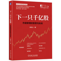 下一只千亿股：市值管理的智慧与实战