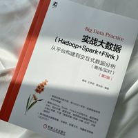 Big Data Practice实战大数据：Hadoop+Spark+Flink