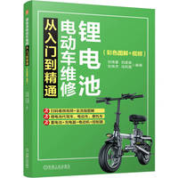 锂电池电动车维修从入门到精通——彩色图解+视频