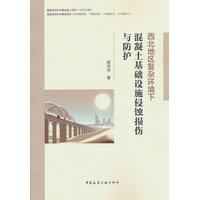 西北地区复杂环境下混凝土基础设施侵蚀损伤与防护