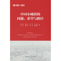 中国小城镇的问题、希望与路径