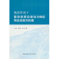 地震作用下复杂岩质边坡动力响应特征及致灾机理