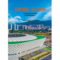 白鹭展翅 匠心智造：三亚市体育中心体育场高效建造关键技术