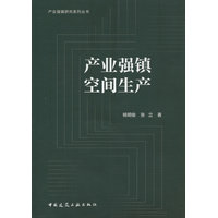 产业强镇空间生产