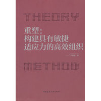 重塑——构建具有敏捷适应力的高效组织