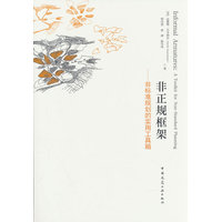 非正规框架：非标准规划的实用工具箱