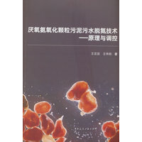 厌氧氨氧化颗粒污泥污水脱氮技术：原理与调控