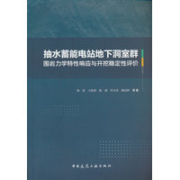 抽水蓄能电站地下洞室群围岩力学特性响应与开挖稳定性评价