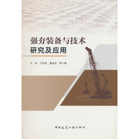 强夯装备与技术研究及应用