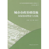 城市市政基础设施灰绿协同理论与实践