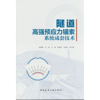 隧道高强预应力锚索系统成套技术