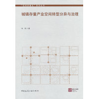 城镇存量产业空间转型分异与治理
