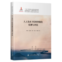 人工岛水下结构智能化检测与评估