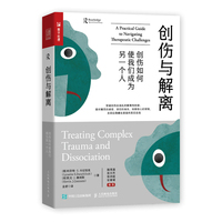 创伤与解离——创伤如何使我们成为另一个人——a practical guide to navigating therapecutic challenges