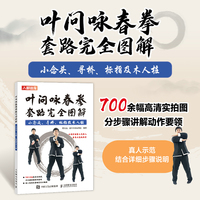 叶问咏春拳套路完全图解——小念头、寻桥、标指及木人桩